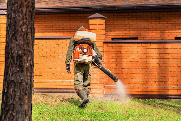 Trusted Bed Bug Control service in Philadelphia, PA - Nex Pest Control